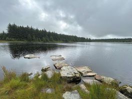 Forest lake nearby 25min drive