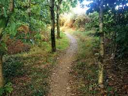 One of the bike tracks