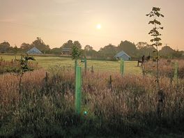 Daybreak at clover farm