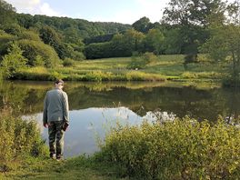 The pond has lots of fish