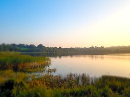 View of the lake.