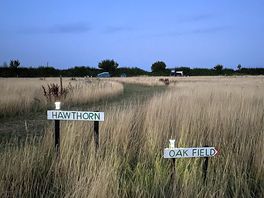 Camping fields