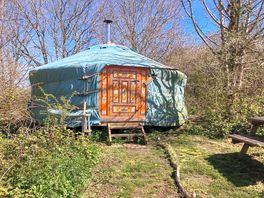 Woodland yurt on a sunny spring afternoon