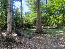Pitch where you want to- find your perfect spot