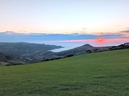 Evening views