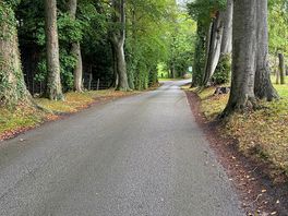 Road out of site