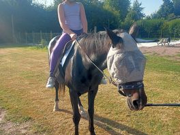 Site horse