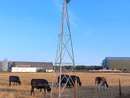 Working farm