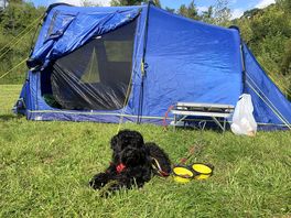 Dog and young family friendly camping.