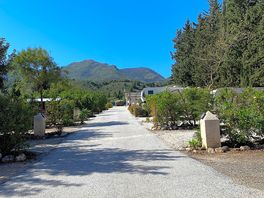 Beautiful view towards the gualdahorce mountains from the bottom of the camping