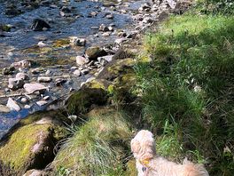 River