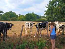 The locals
