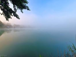 The morning mist over the lake