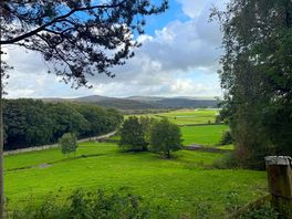 View from farm