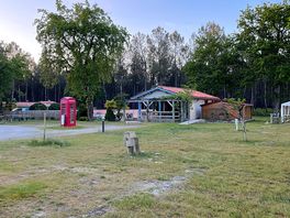 Reception and bar