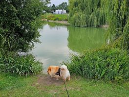 Lakes