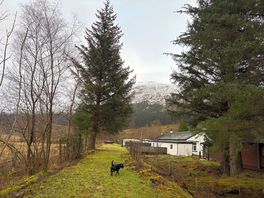 View from back of cabin