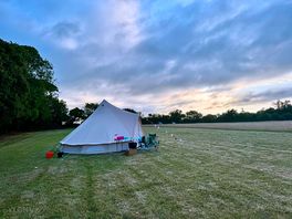 Readers field