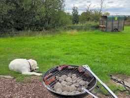 Bbq also provided