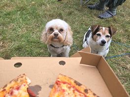 Wood fired pizza on site