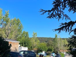 View from the tent