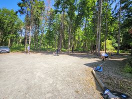 Forest area next to cabins