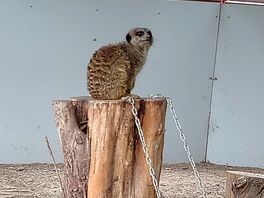 Animal park