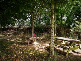 We chose a pitch with woodland area, which was amazing.