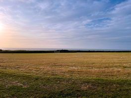 Sea view from the field, with the train occasionally passing.