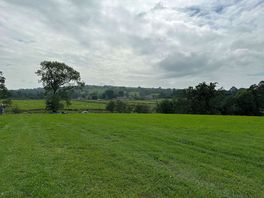 View from my tent