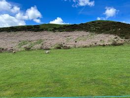 Gorgeous views with free roaming goats!!!!