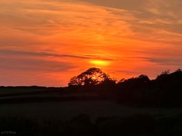 Beautiful sunset one evening.