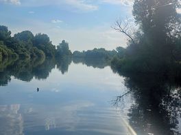 The river