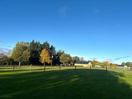 Blue skies and autumn trees