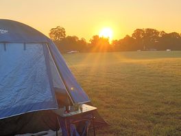Morning view