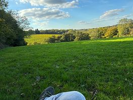 Lovely view