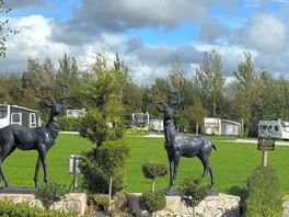 Stag statues