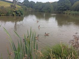 Fishing lake