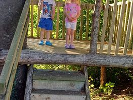 Tree house