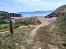 Easy coastal walks