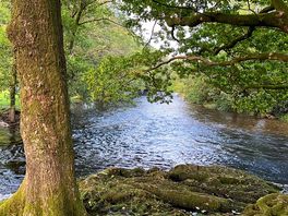 My son loved swimming in this river