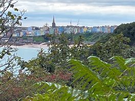 Stunning local views