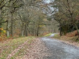Wyre forest