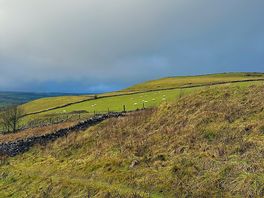 View from the circular walk