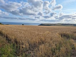 Coastal walk