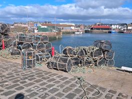 Lobster pots in arbroath harbour