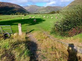 Picture from a walk close to site