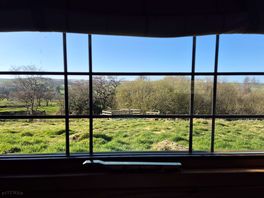 View from one of the windows in foxtail.
