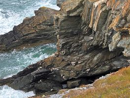Roscolyn circular walk