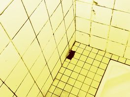 Shower recess - black mould - dirty tiles.